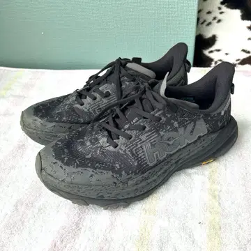 HOKA 호카 스피도 고트 6 고어텍스 GTX