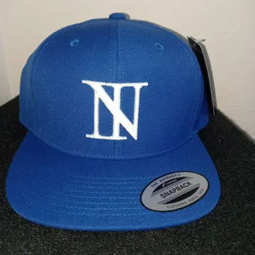 THE BONEZ N-logo flat visor cap 캡/모자