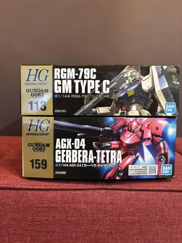 hg 헬스장 개조, 가베라 테트라 2개 세트
