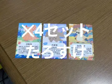 해수욕장 팔레트 특제 명함 무쿠무쿠 고모라 페기라 카드 우루사마