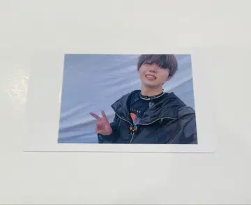 팬더 드래곤 파라곤 하피카 폴라로이드 아즈 1