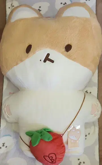 EXO 베크히 트레기 80cm