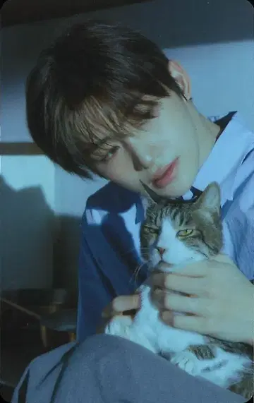 TWS JIHOON 처음 뵙겠습니다 TowerRecords 트레이딩 카드