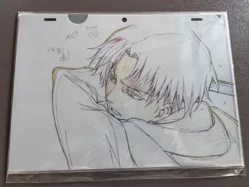 WIT STUDIO 아사노 교지 클리어 파일 리바이 엘르빈 진격의 거인