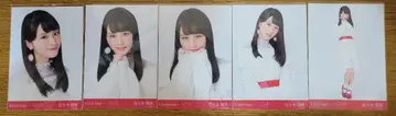 사사키 마이카 브로마이드