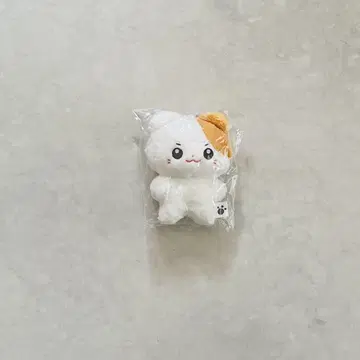 제베원 성한빈 성한빈 마스터 봉제 인형