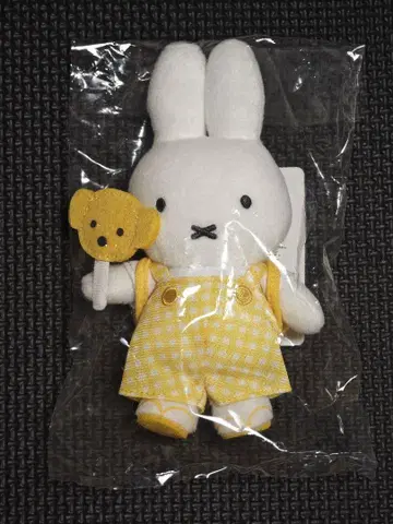 미피 자카 페스티벌
