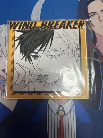 WIND BREAKER 복권 메이트 미니 색지 벚꽃 하야