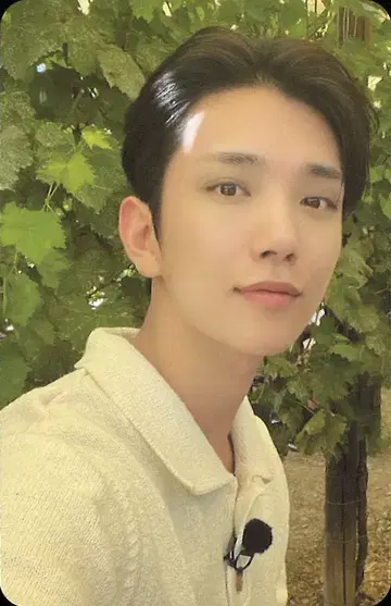 SEVENTEEN JOSHUA NANA TOUR 트레이딩 카드