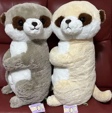 이쪽을 봐, 미아짱! 울트라 BIG 봉제 인형 2종 세트