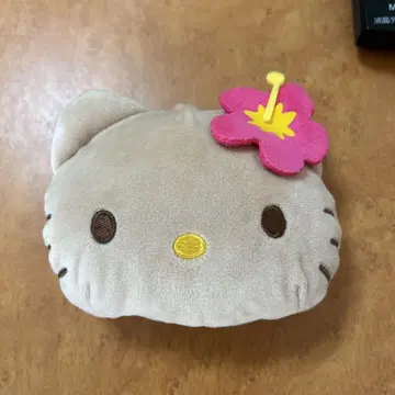 일광화상 키티