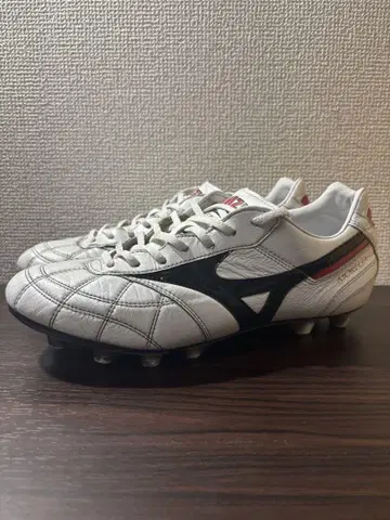 MIZUNO 모레리아 2JAPAN 25.0cm