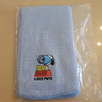 당신에게 잘 어울리는 나츠노하라마키 PEANUT (수중 안경)