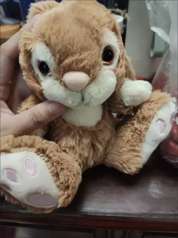 브라운 토끼 봉제 인형