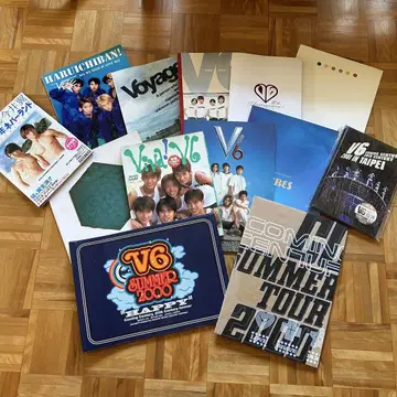 레어 V6 투어 팜플렛 책받침 클리어 파일