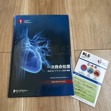 BLS 제공자 매뉴얼 2020