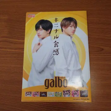 클리어 파일 11매 세트 각종 galbo 빌리 갸루 Berry MATCH