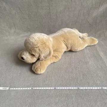 REGALO 골든 리트리버 특대형 봉제 인형