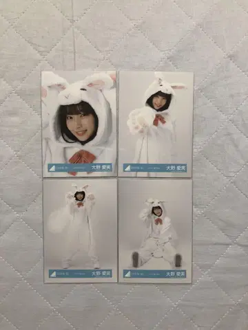 히나타자카46 오노 마나미 동물 인형옷 4종 컴프