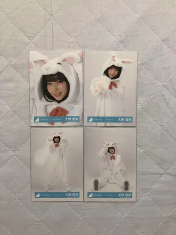 히나타자카46 오노 마나미 동물 인형옷 4종 컴프