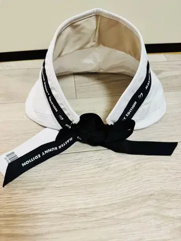 마스터바니 바이저 화이트