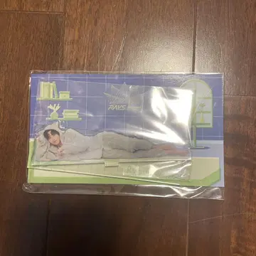 아베 료헤이 아크릴 스탠드 아크릴 스탠드 rays