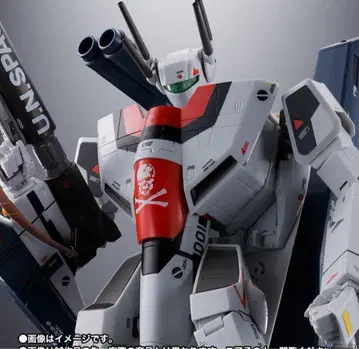 극장판 VF-1S 스트라이크 발키리 (이치조 테루 기체) 메카닉 에디션