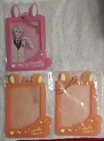 앙스타 외출 사진 비와 토끼 다람쥐