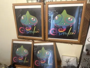 Chameleon 친필 사인 포함 메가 자켓