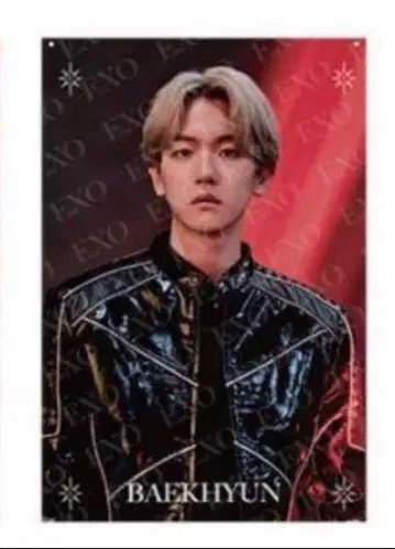 EXO 베키온 패브릭 포스터 68x101.6cm