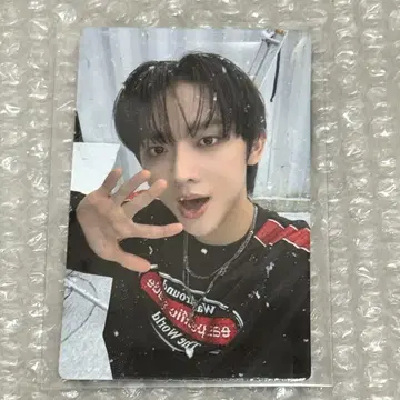 evnne 이븐 setngo 싱가포르 트레이딩 카드 입장 혜택 순온