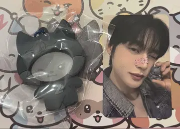 zeroni 사진 폴더 김지은