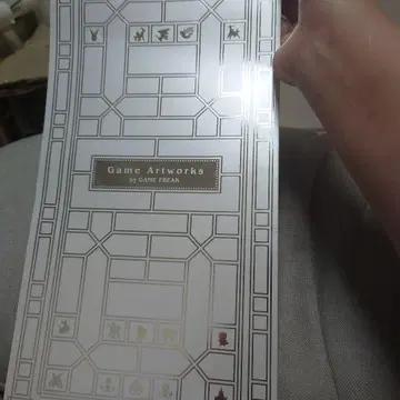 포켓몬 게임 아트 워크