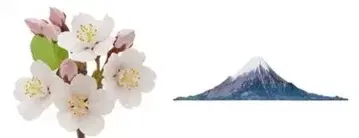 일본의 생물 가챠 소메이요시노 후지산