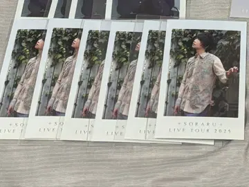 소라루 유메유이 유메쿠지 복권 폴라로이드 카드 랜덤 브로마이드 묶음 판매