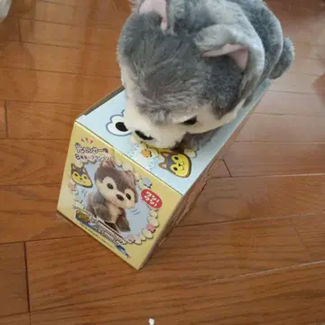 그레이 개 봉제 인형 약 20cm