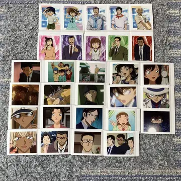파샤코레 vol.6