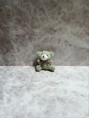 카노 짱님