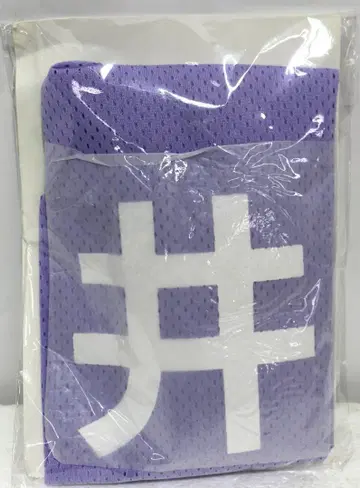 노기자카46 츠츠이 아야메 비브스풍 토트백