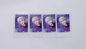 니지산지 SitR 요코하마 폴라로이드 쿠츠하