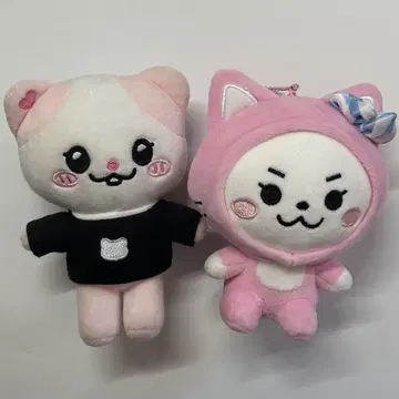 ITZY 유나 NAong WIDZY 봉제 인형 세트