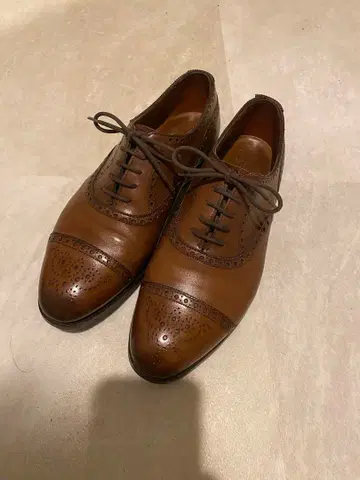 에드워드 그린 가드건 202 6 하프 사이즈