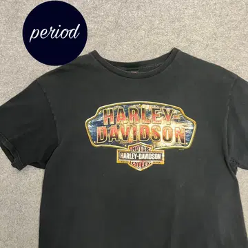 P2251 HARLEYDAVIDSON 바이크 아메카지 프린트 티셔츠