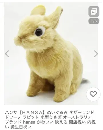한자 HANSA 토끼 네덜란드 드워프 검 슈타이프 멜리 소트