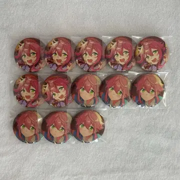 앙스타 피처 2 캔뱃지 히메미야 토리 13개