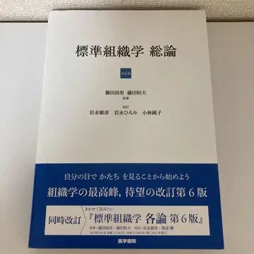 표시 사이즈