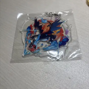 포켓몬 발견 대작전 메가신카 대작전 리자몽 아크릴 참