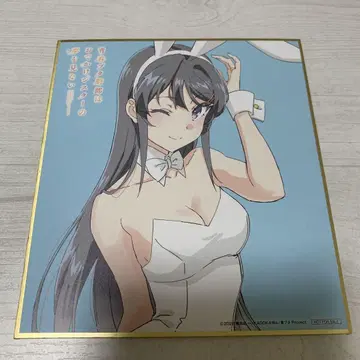 청춘 돼지들은 외출하는 언니의 꿈을 꾸지 않는다 색지