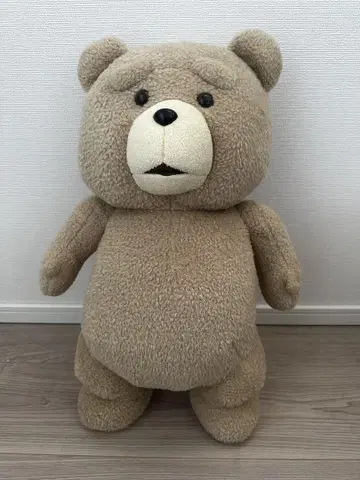 테드