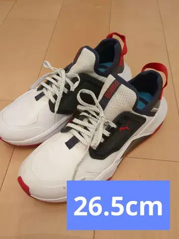 푸마 골프화